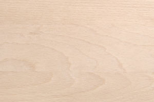 Superficie di legno chiaro con venature visibili.