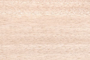 Superficie di legno chiaro con venature sottili.