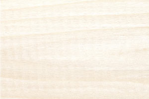 Superficie di legno chiaro con venature visibili.